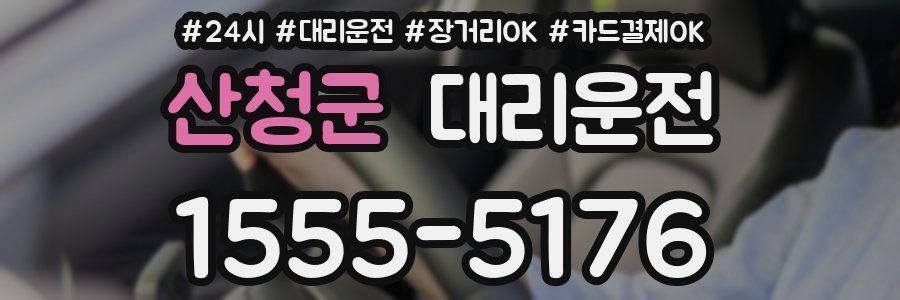 산청군 대리운전
