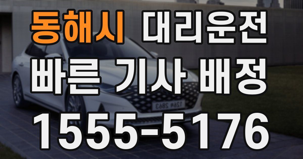 일일대리기사