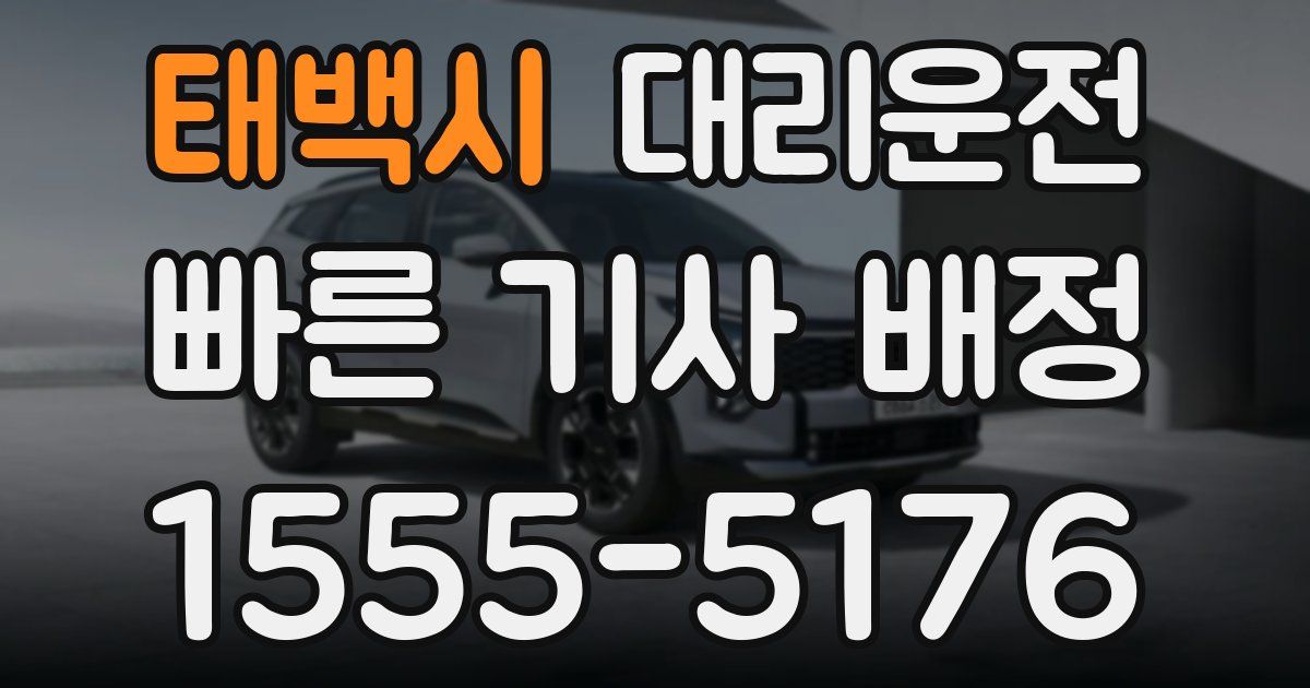 일일대리기사
