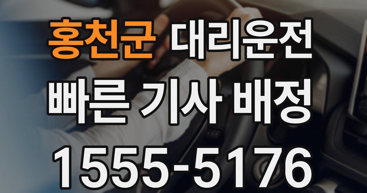 일일대리기사
