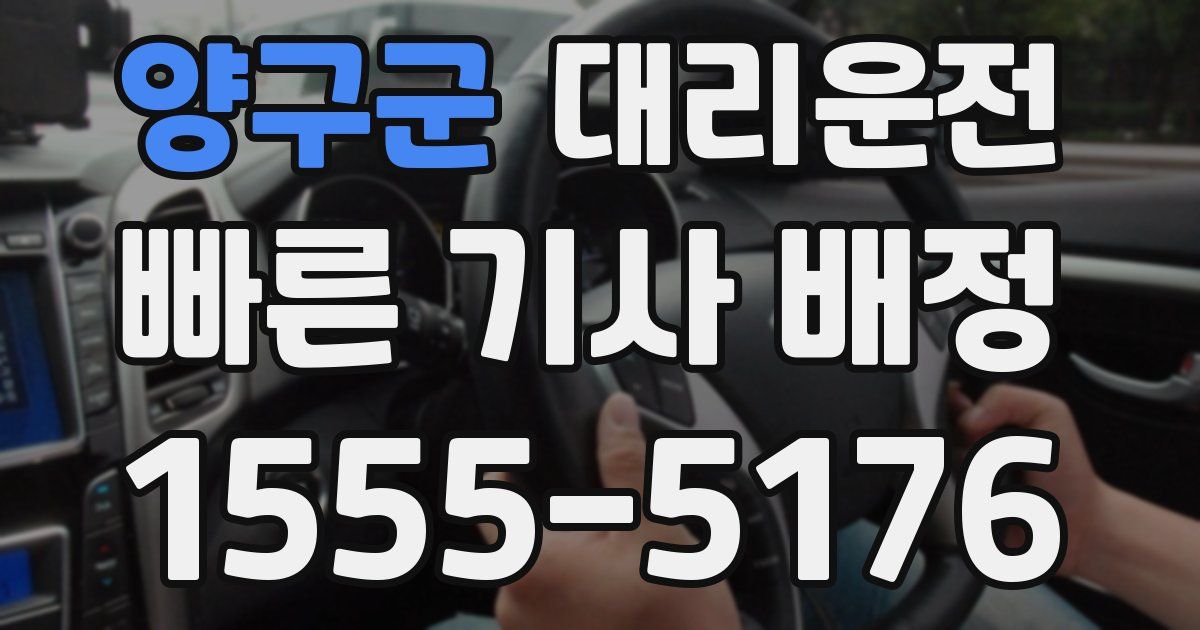 일일대리기사