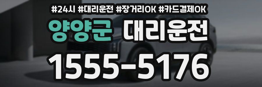 양양군 대리운전