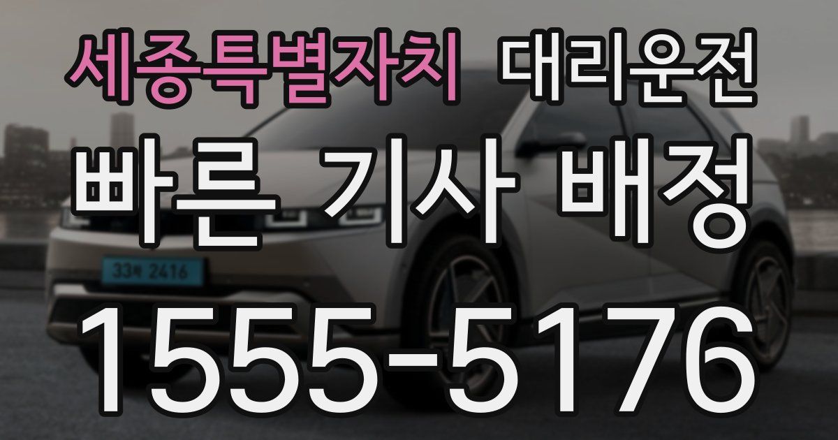 일일대리기사