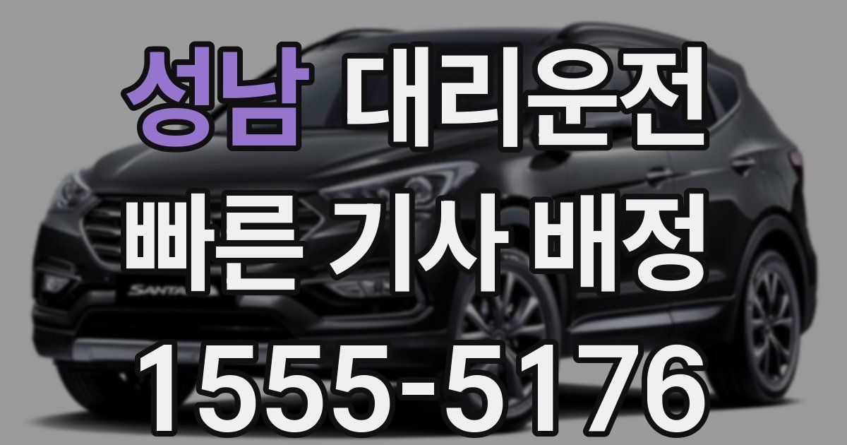 일일대리기사