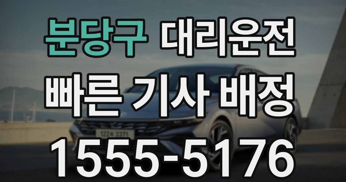 일일대리기사
