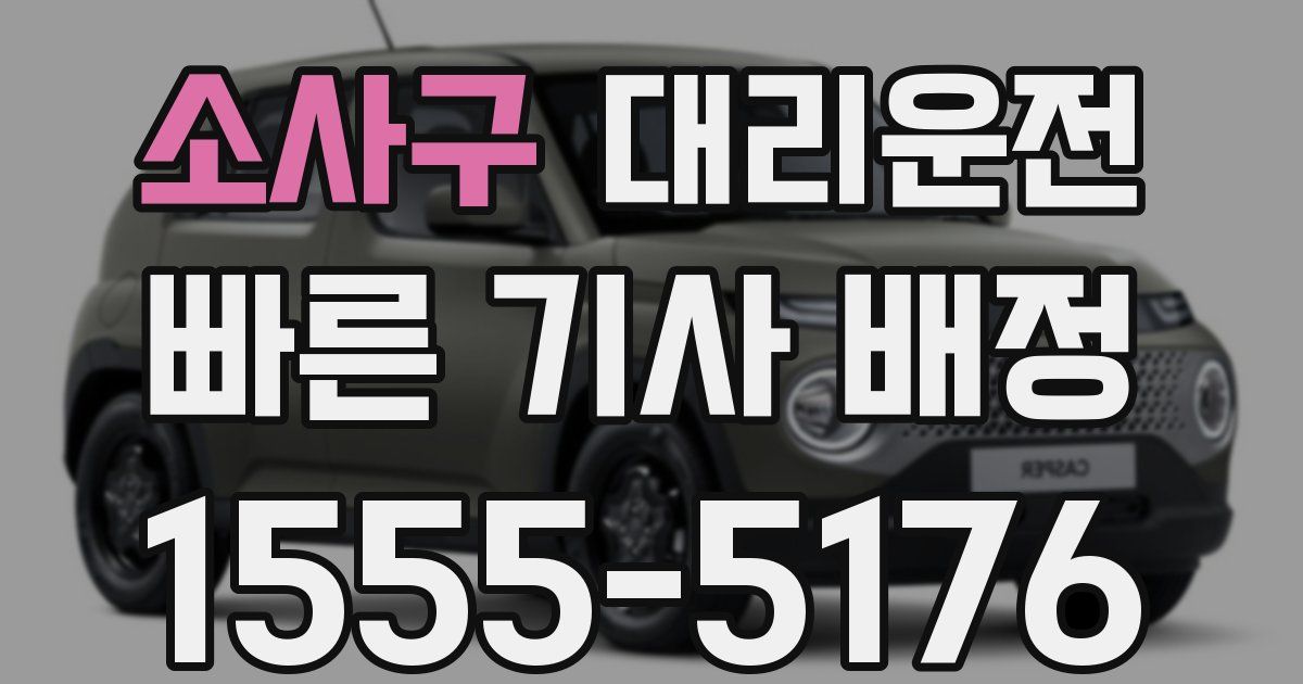 일일대리기사