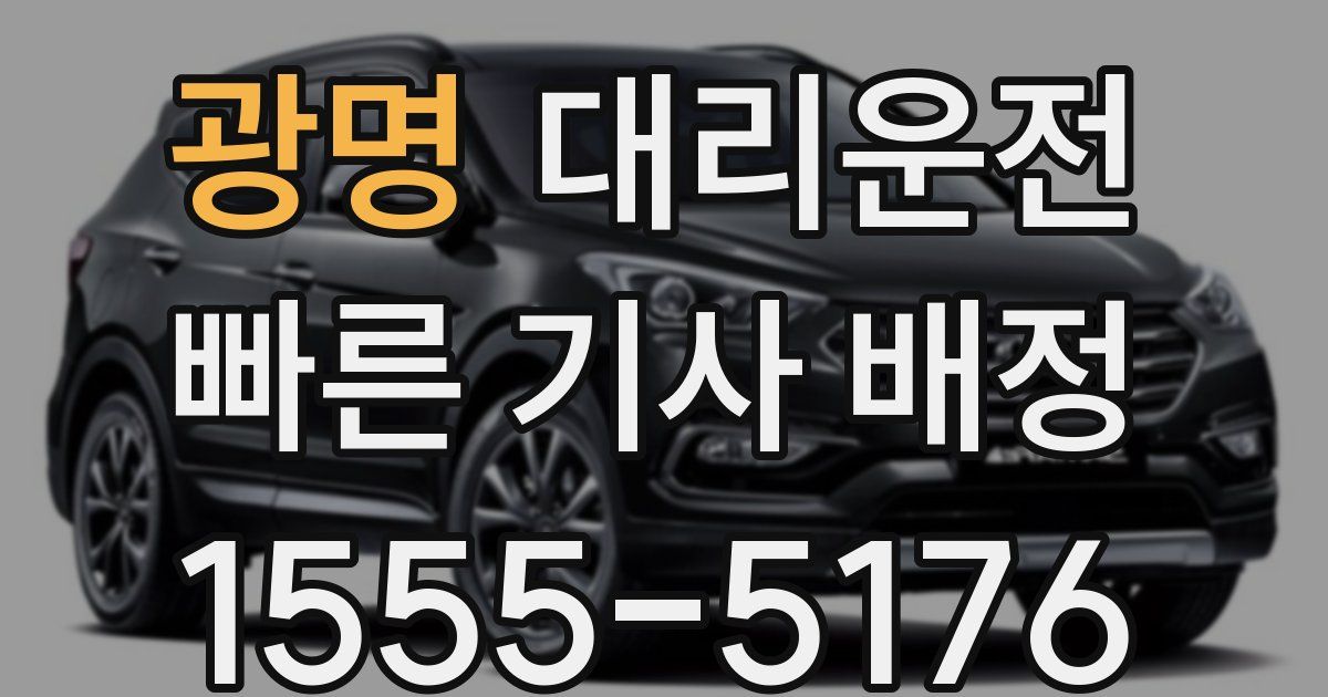 일일대리기사