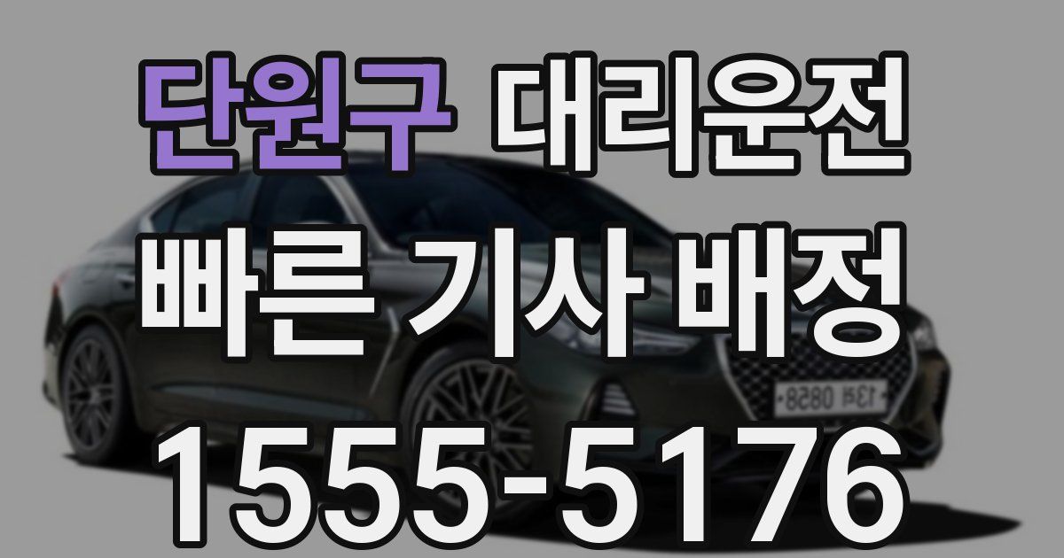 일일대리기사