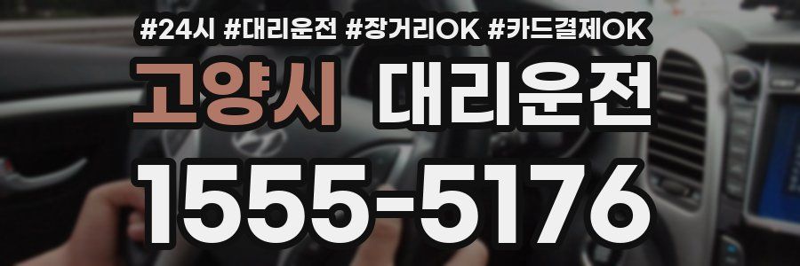 고양시 대리운전