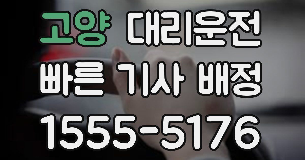 일일대리기사