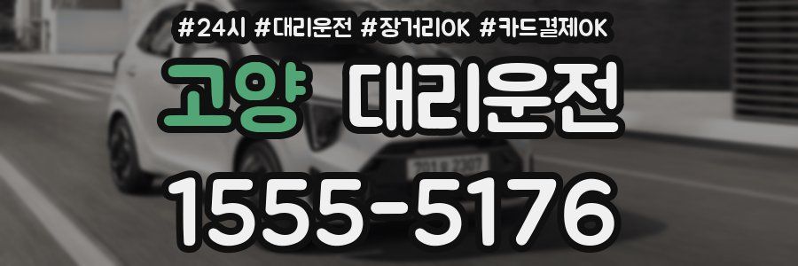 고양 대리운전