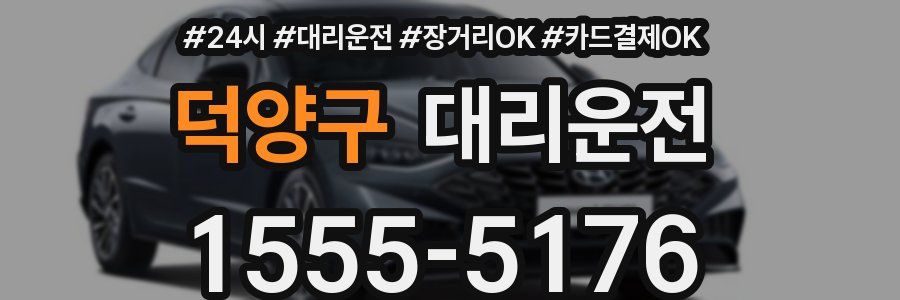 덕양구 대리운전