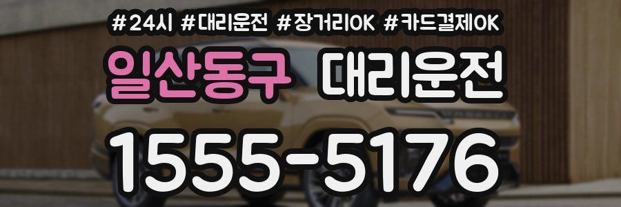 일산동구 대리운전