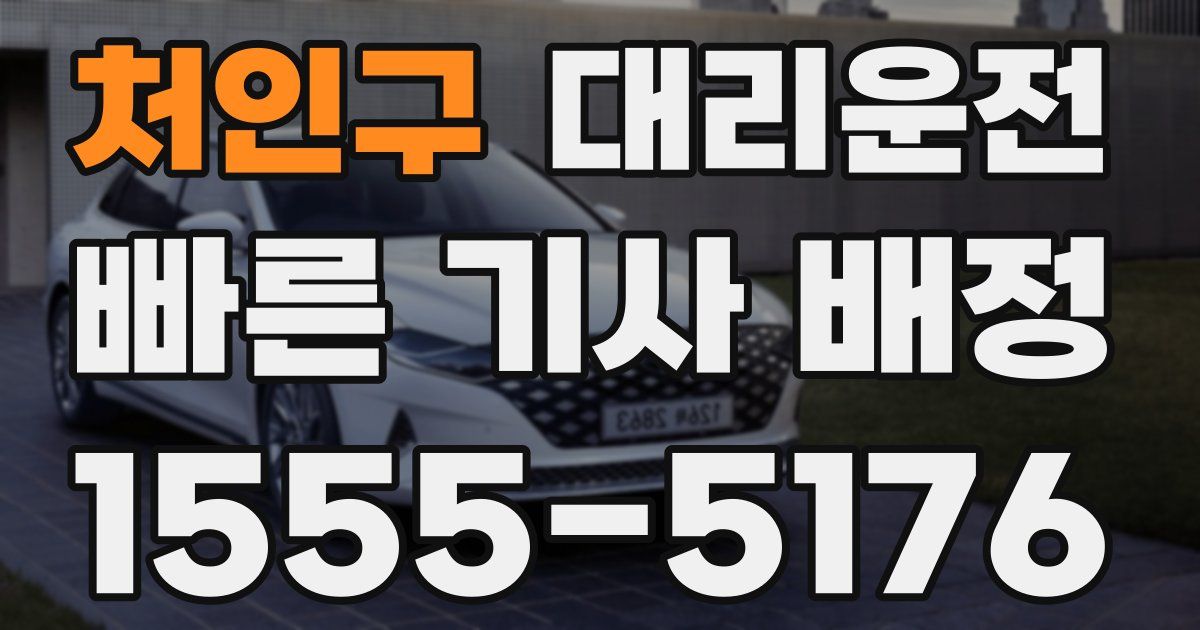 일일대리기사