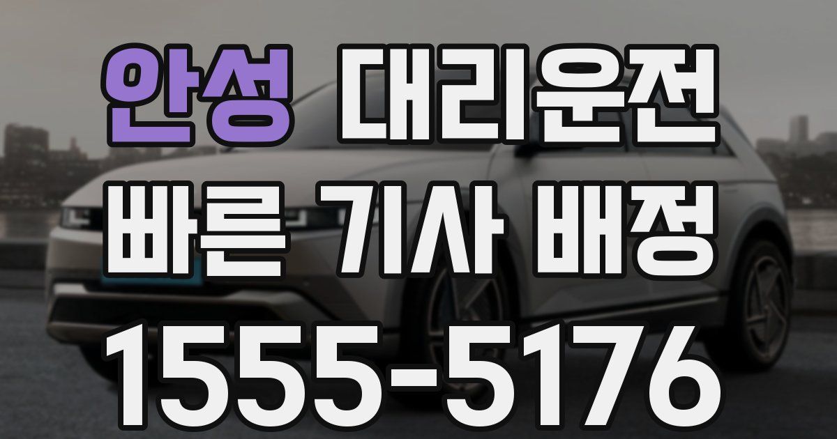 일일대리기사