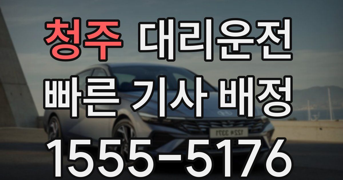 일일대리기사
