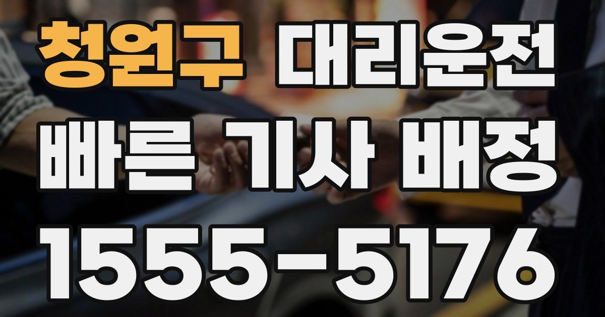 일일대리기사