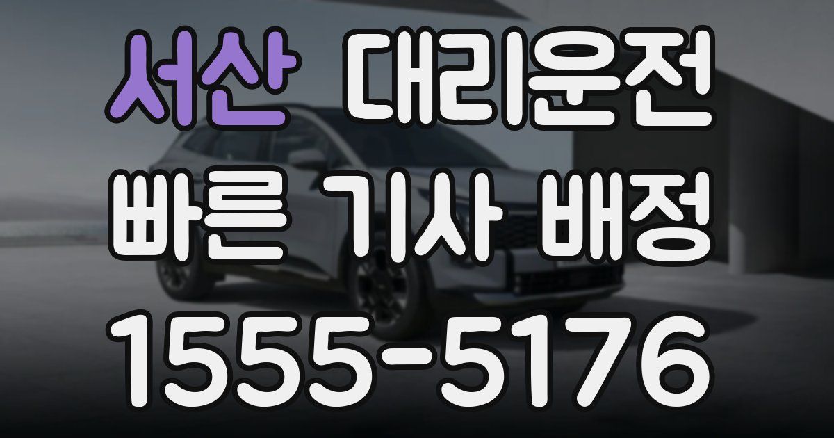 일일대리기사