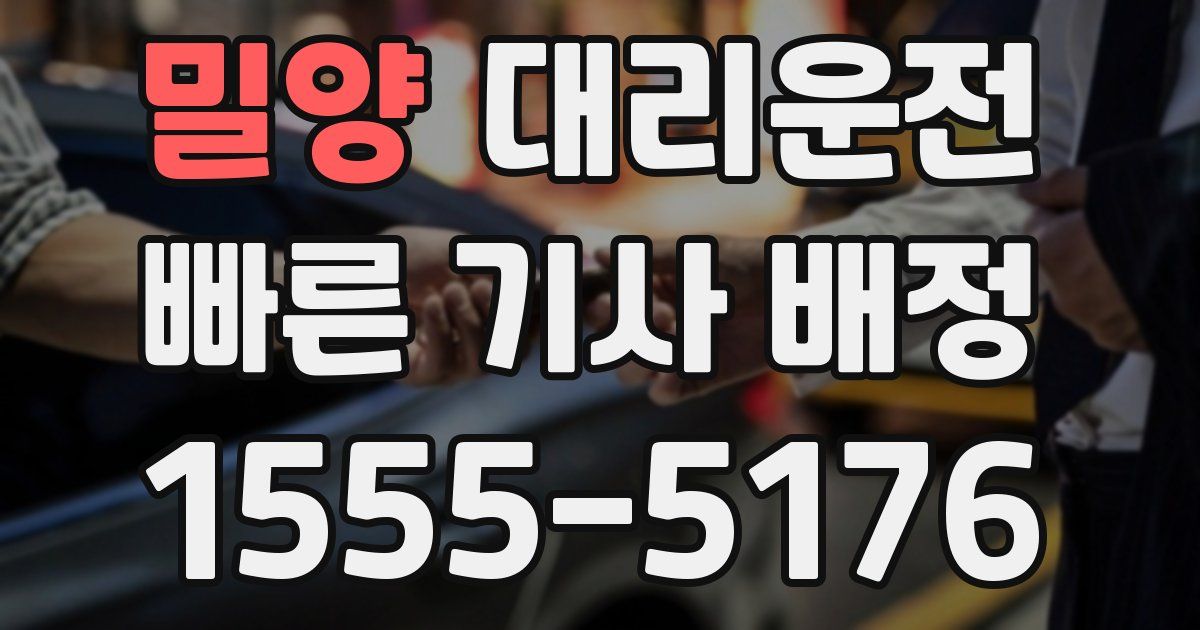 일일대리기사