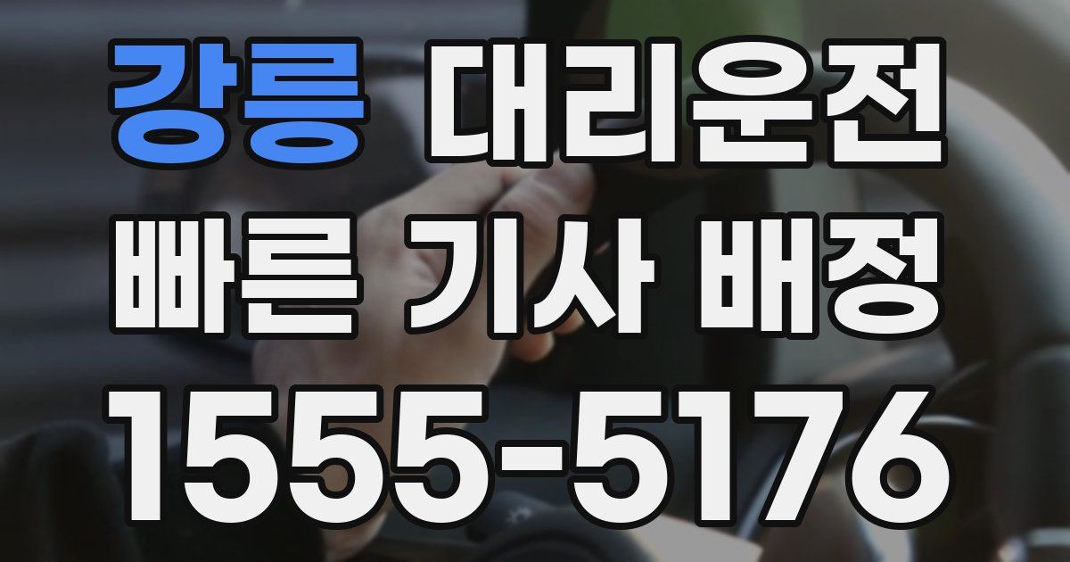 일일대리기사