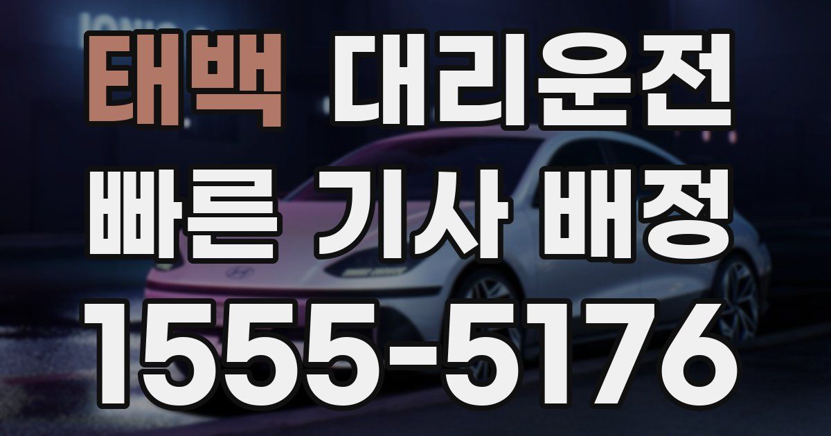 일일대리기사