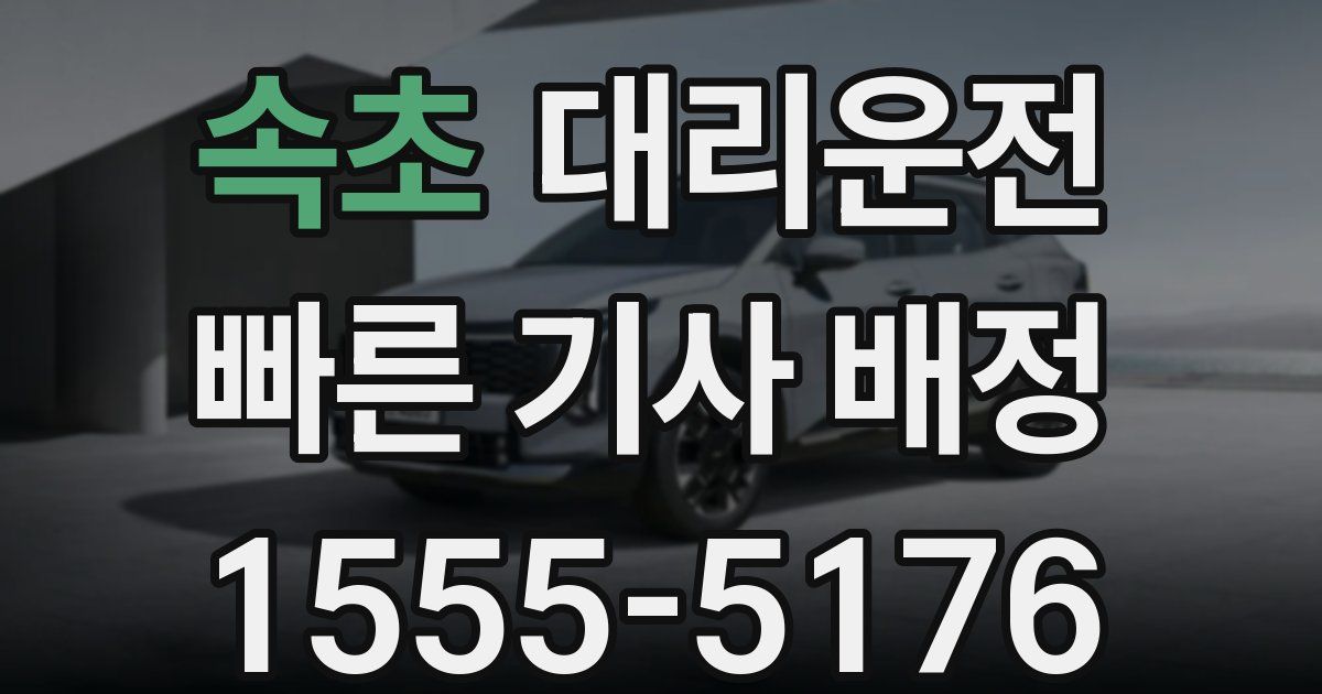 일일대리기사
