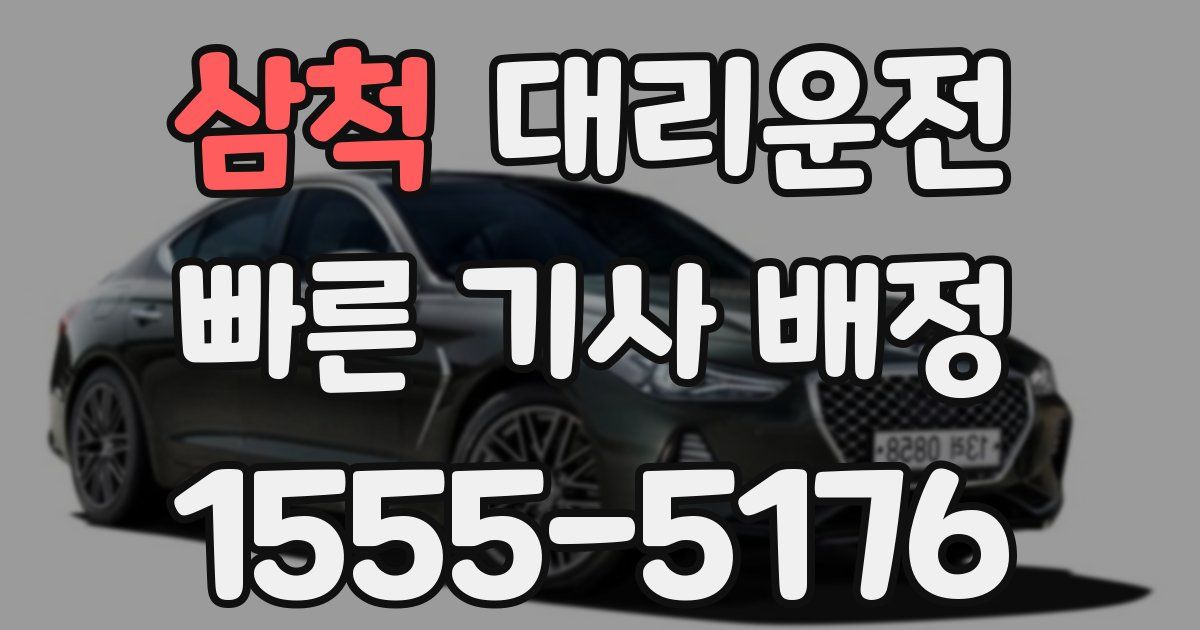 일일대리기사