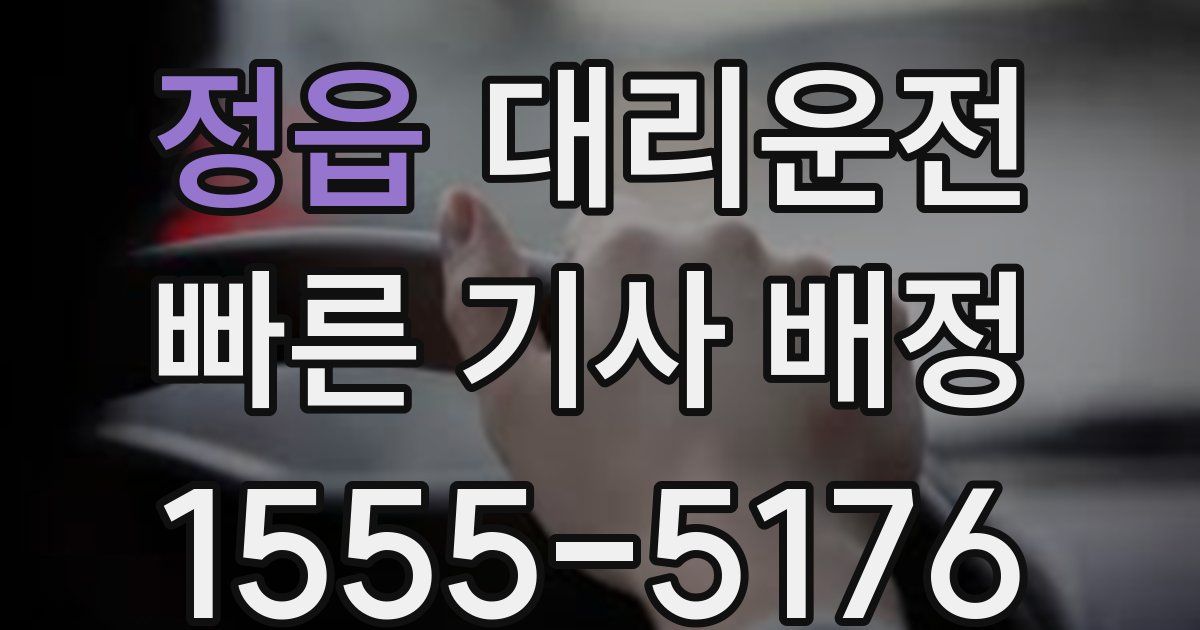 일일대리기사