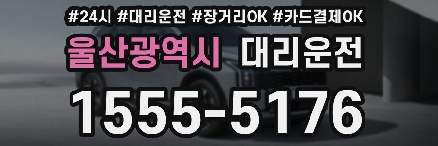 울산광역시 대리운전