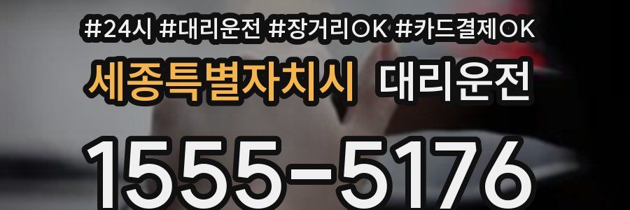 세종특별자치시 대리운전