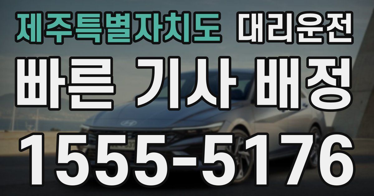 일일대리기사