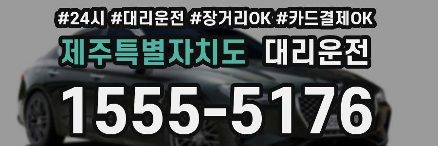제주특별자치도 대리운전