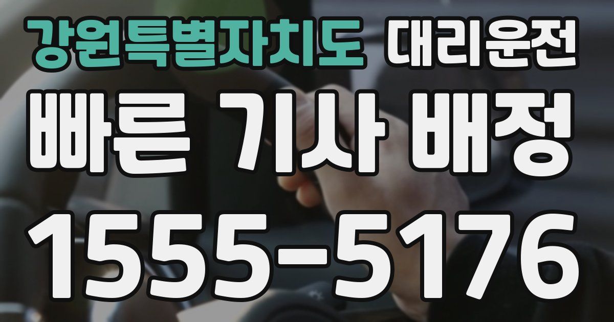 일일대리기사