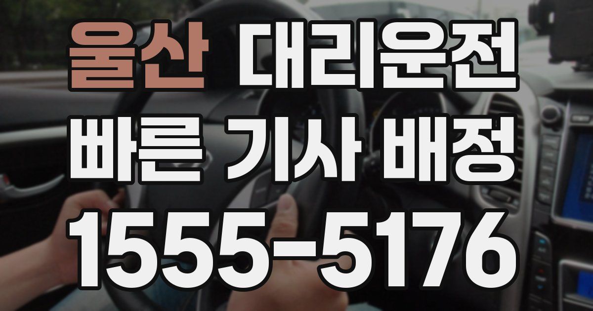 일일대리기사