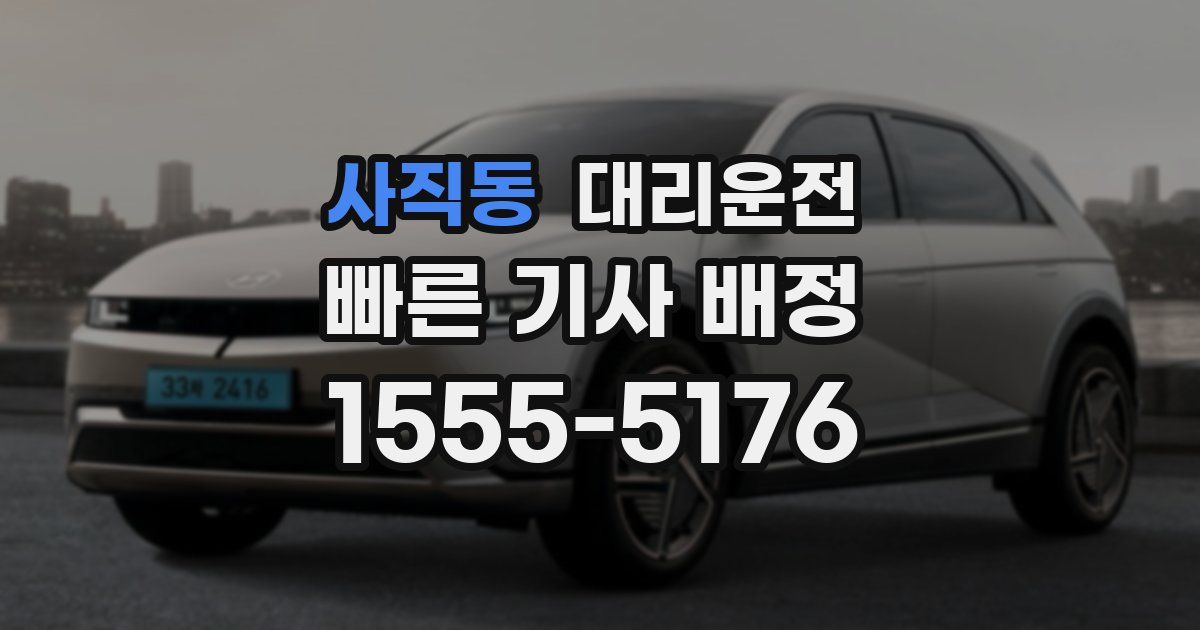 일일대리기사