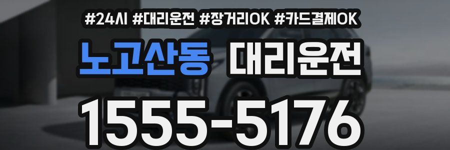 노고산동 대리운전