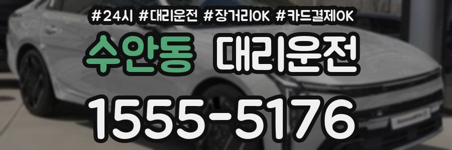 수안동 대리운전