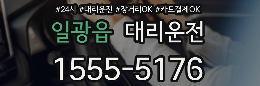 일광읍 대리운전