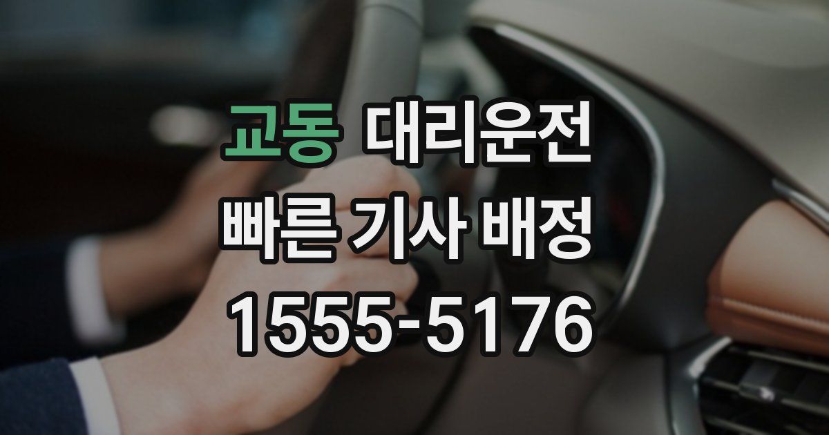 일일대리기사