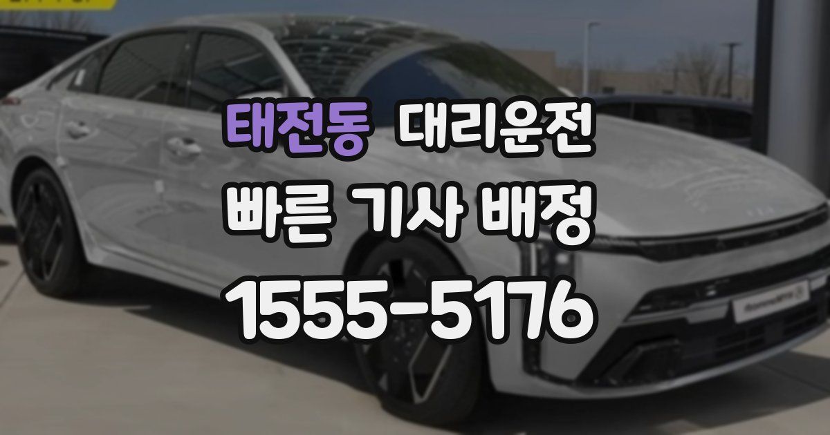 일일대리기사