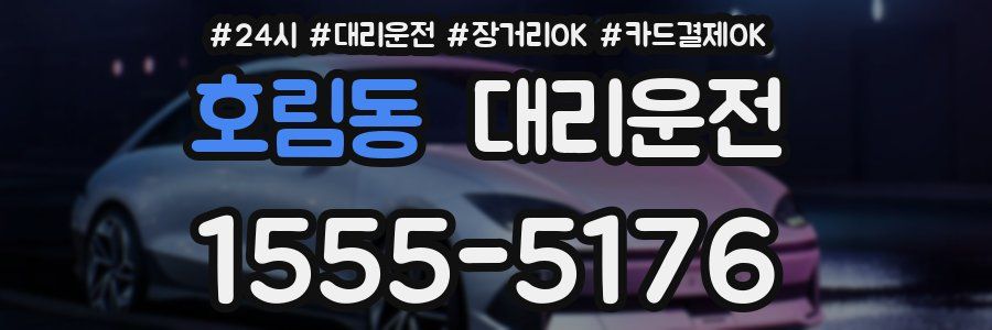 호림동 대리운전