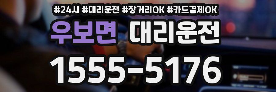 우보면 대리운전