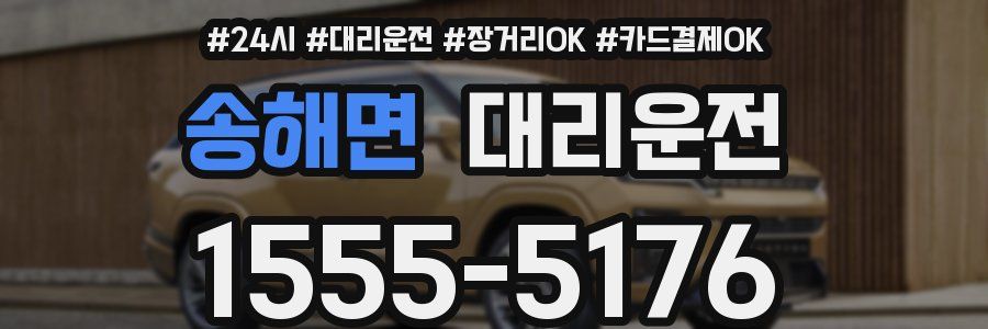 송해면 대리운전