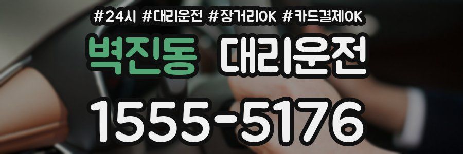 벽진동 대리운전