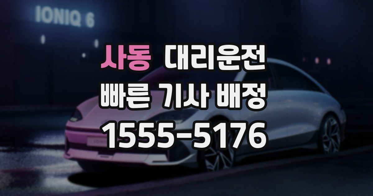 일일대리기사