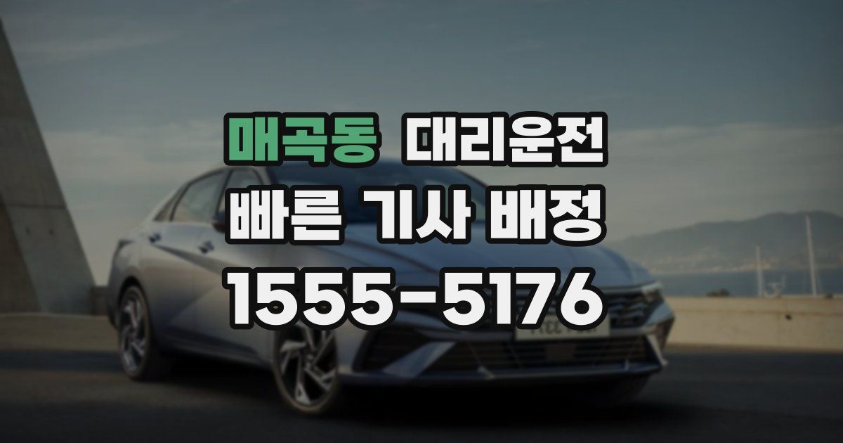 일일대리기사