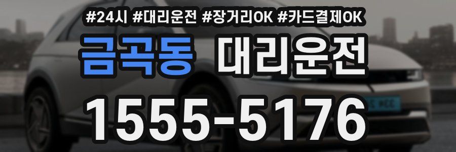 금곡동 대리운전