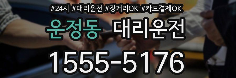 운정동 대리운전