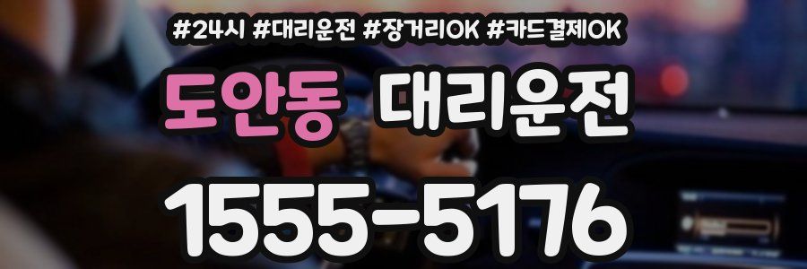 도안동 대리운전