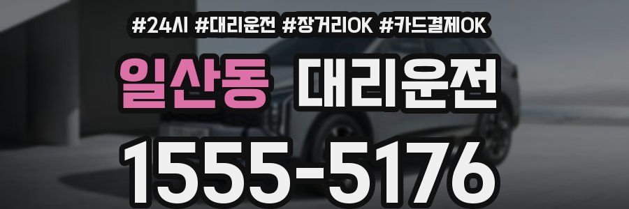 일산동 대리운전
